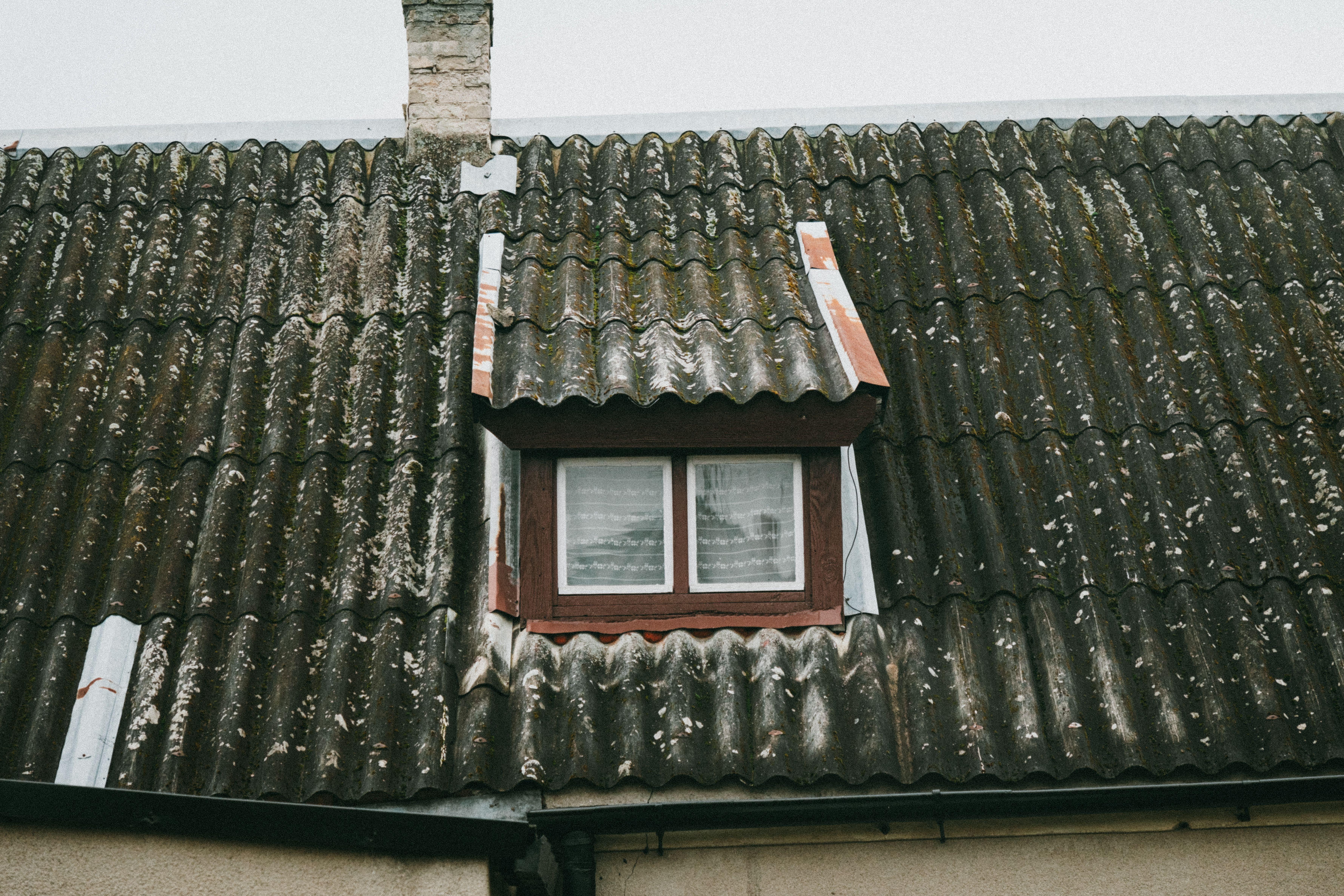 Untitled image